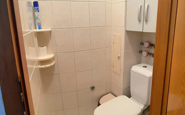 Двухкомнатная квартира Южный ветер