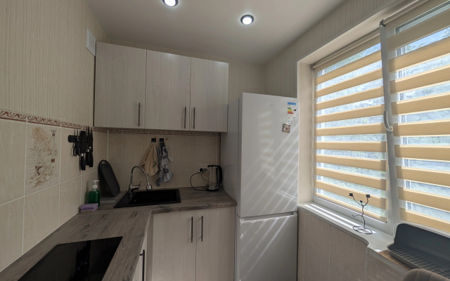 Svetlaya Ryadom s Tsentrom Goroda Flat