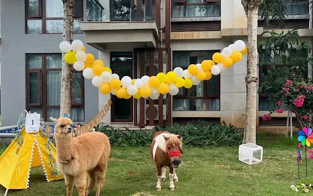 Argyle Resort Sanya