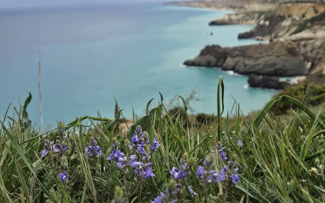 Апартаменты 2 на мысе Фиолент