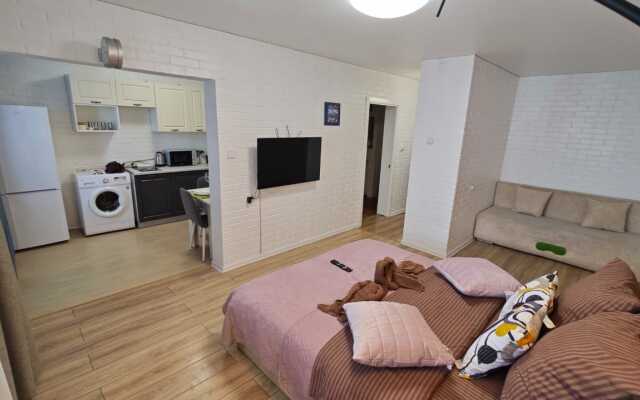 Апартаменты Loft