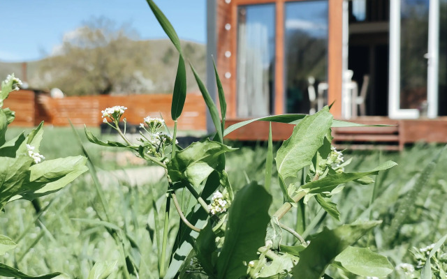 Derevyanny Dom Praskovyya Chalet