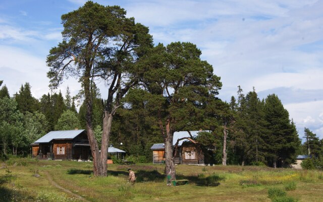 Cedar Grass Белое Море