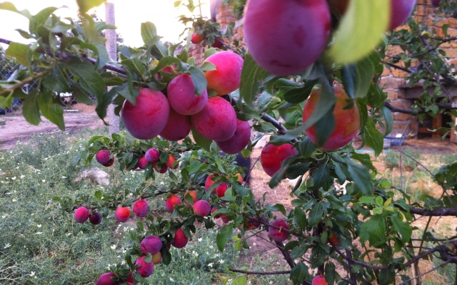 База Отдыха Эко Курорт Морское