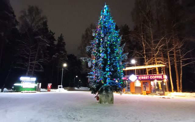 Частный дом на Берендеевской