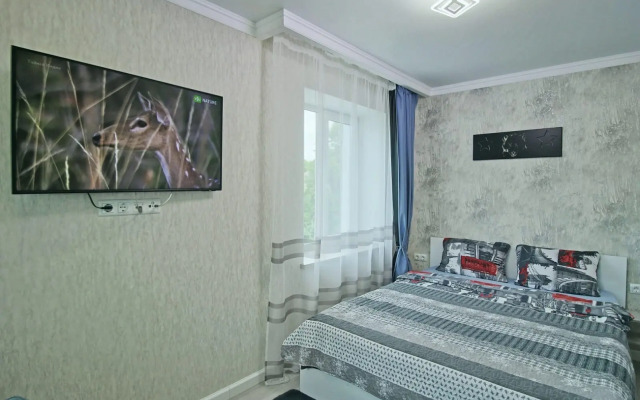 Comfort Apartments v tsentre Flat