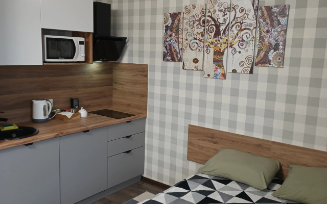 Studiya V Tsentre Lodging house