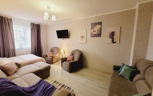 Апартаменты в центре Ульяновска 239