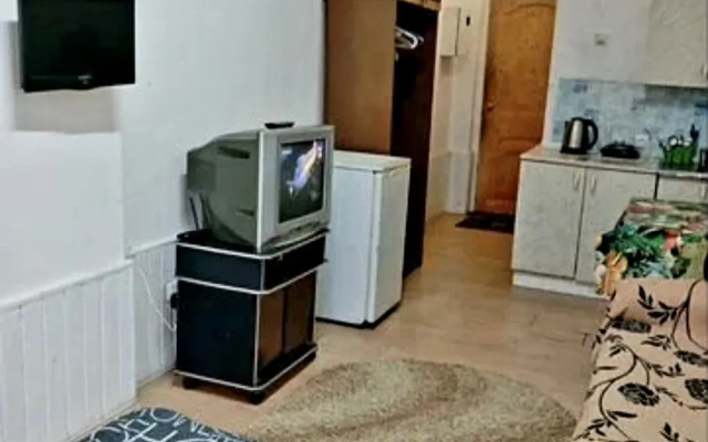 Квартира студия Эконом на Цокольном Этаже