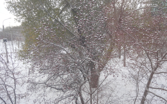 Апартаменты в Деловом Центре