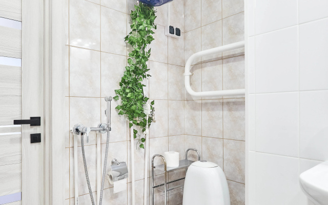 Apartamenty Petrovskie na Sibirskoj 9A