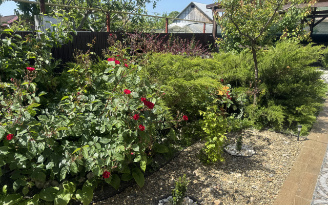 Domudacha Guest house