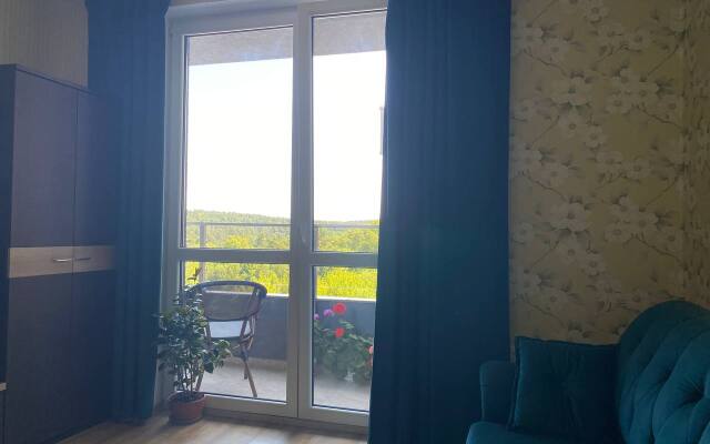 Квартира в Курортном Светлогорске-2