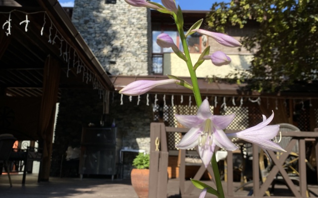 Gostinichno-Restorannyij Kompleks Veterok Hotel