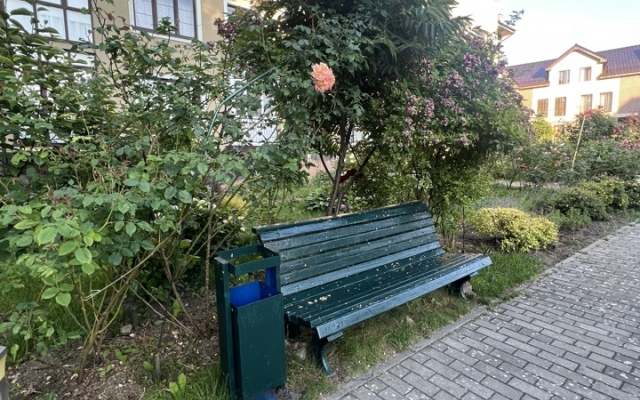 Квартира Цветочный Светлогорск