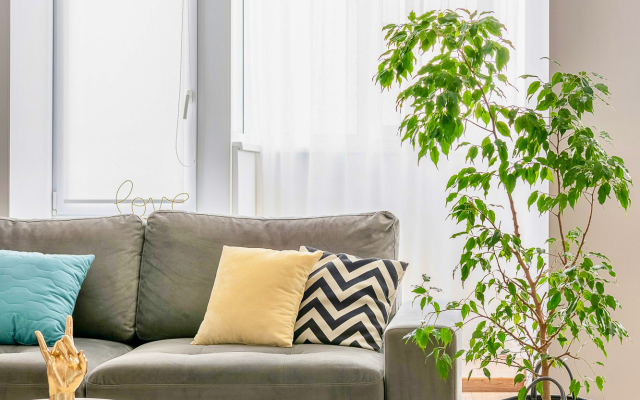 CityViewSuite Apartments