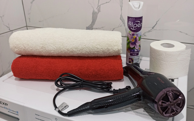 Апартаменты на Красной Армии 136/6