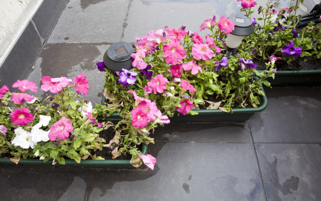 Апартаменты RentalSPb