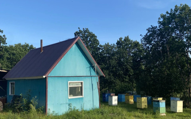 Recreation camp Sinegorye