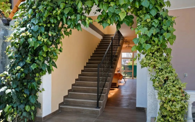 Guest house Magnoliya