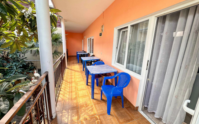 Апартаменты Адлер Чкалова Улица д 71  №1 Альфагид