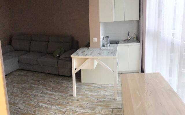Apartments Sochiposutochno 10