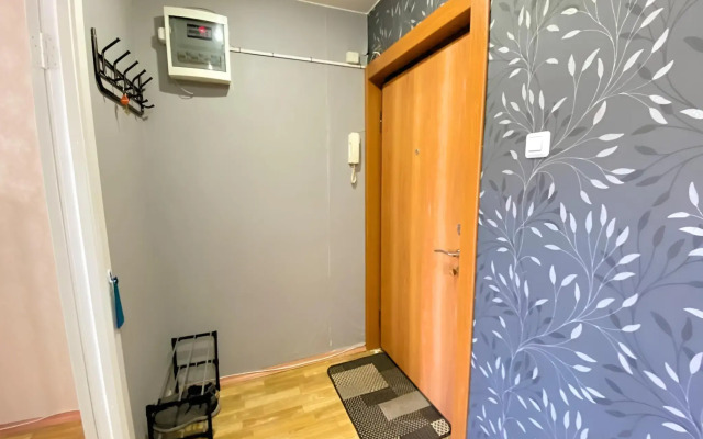 Yevro 2Kh Komnatnaya v Tsentre Flat