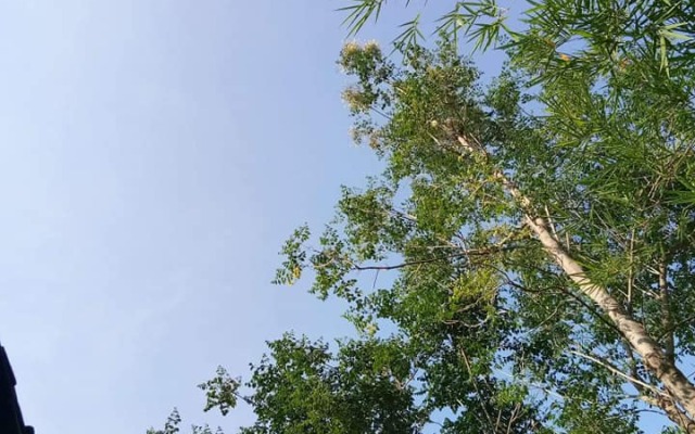 Гостевой дом Seven Senses