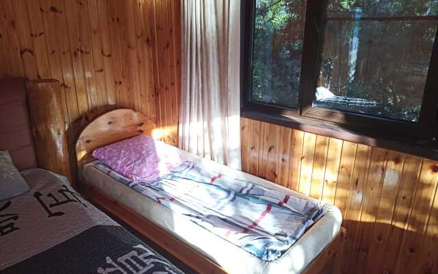 Mozhzhevelovyij Dom Guest House