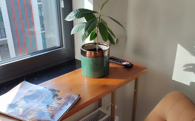 Апартаменты Ballet ЖК бизнес-класса