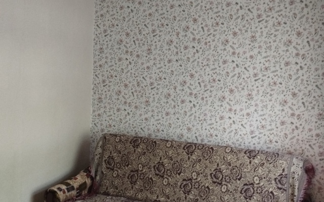 Na Pionerskoy Flat