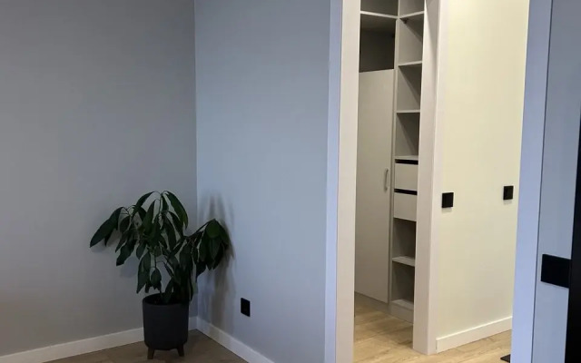 Vidovaya Onega na ladoni Flat