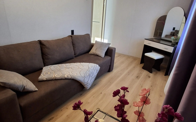 Квартира Уютная в центре около зоопарка