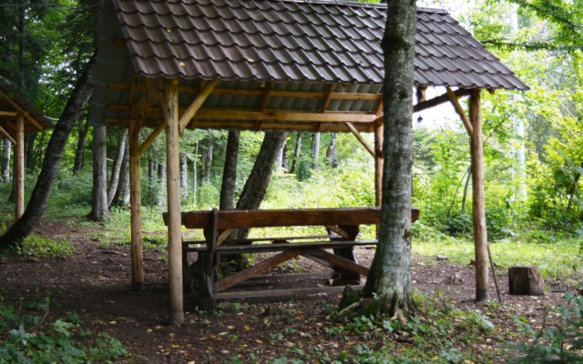 Prestizh-Lagonaki Guest House