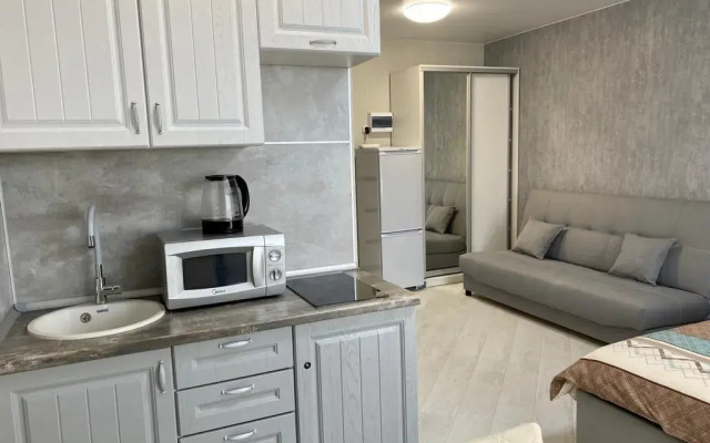 Studio na ulice Raketnaya 17 Apartments (2)