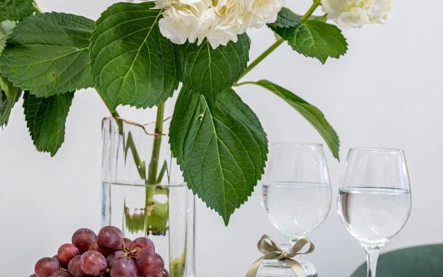 Квартира Merino Home Emerald