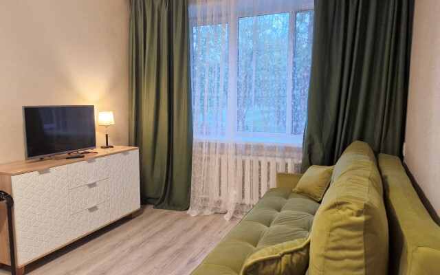 Komfortnaya V Tsentre Pushkino Na Moskovskom Flat