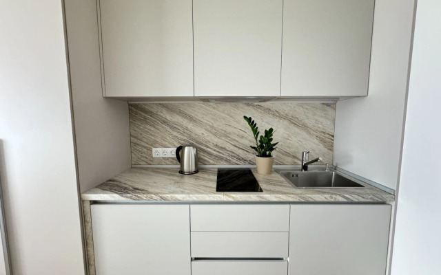 Апартаменты Делюкс с Балконом Lesnaya