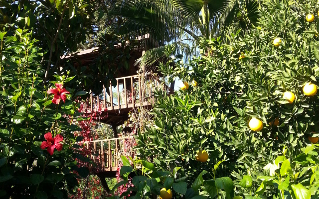 Kibala Hotel 