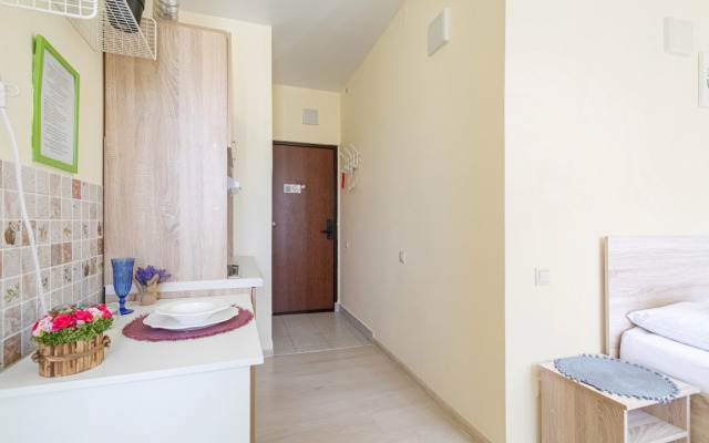 Апартаменты в ЖК Царская Площадь 383-5