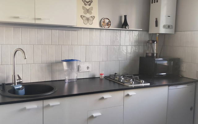 V Tsentre Goroda Flat