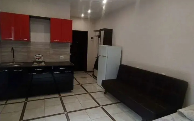 Na Gromova, 19 8 Flat