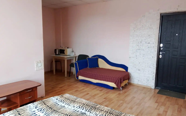 Studiya V Tsentre Flat