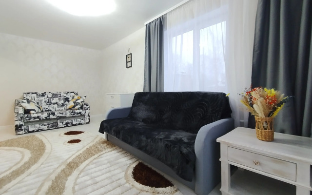 Dvukhkomnatnye novye v tsentre Apartments