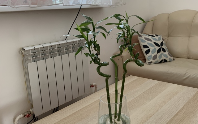 Гостевой дом Гармония