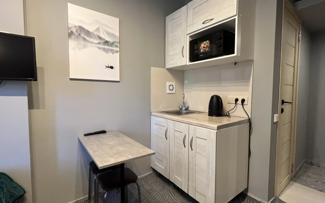 Апартаменты Kurdyukov