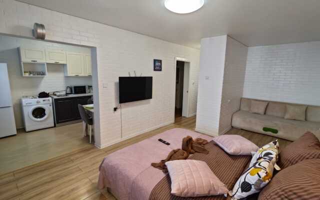 Апартаменты Loft