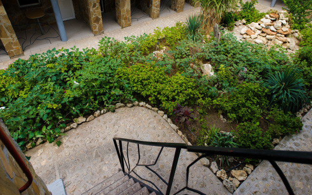 Отель Буковина