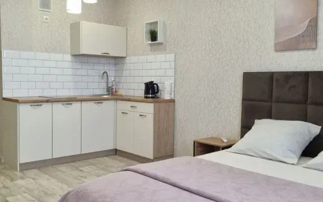 Квартира уютная на улице Пушкина 87