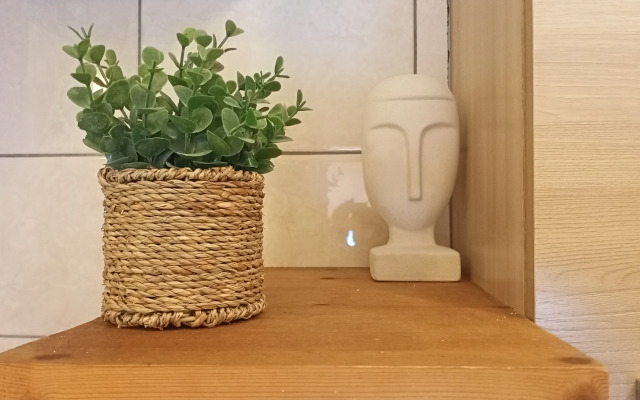 Квартира Студия на Берегу Озера с Лебедями